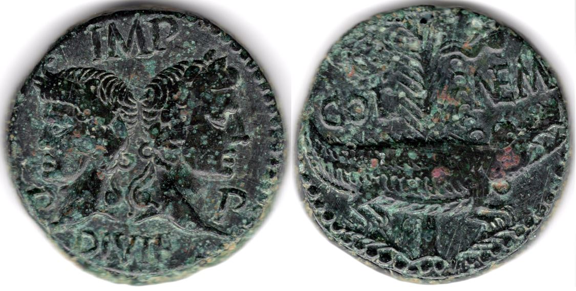 My-First-Animal-On-A-Coin.