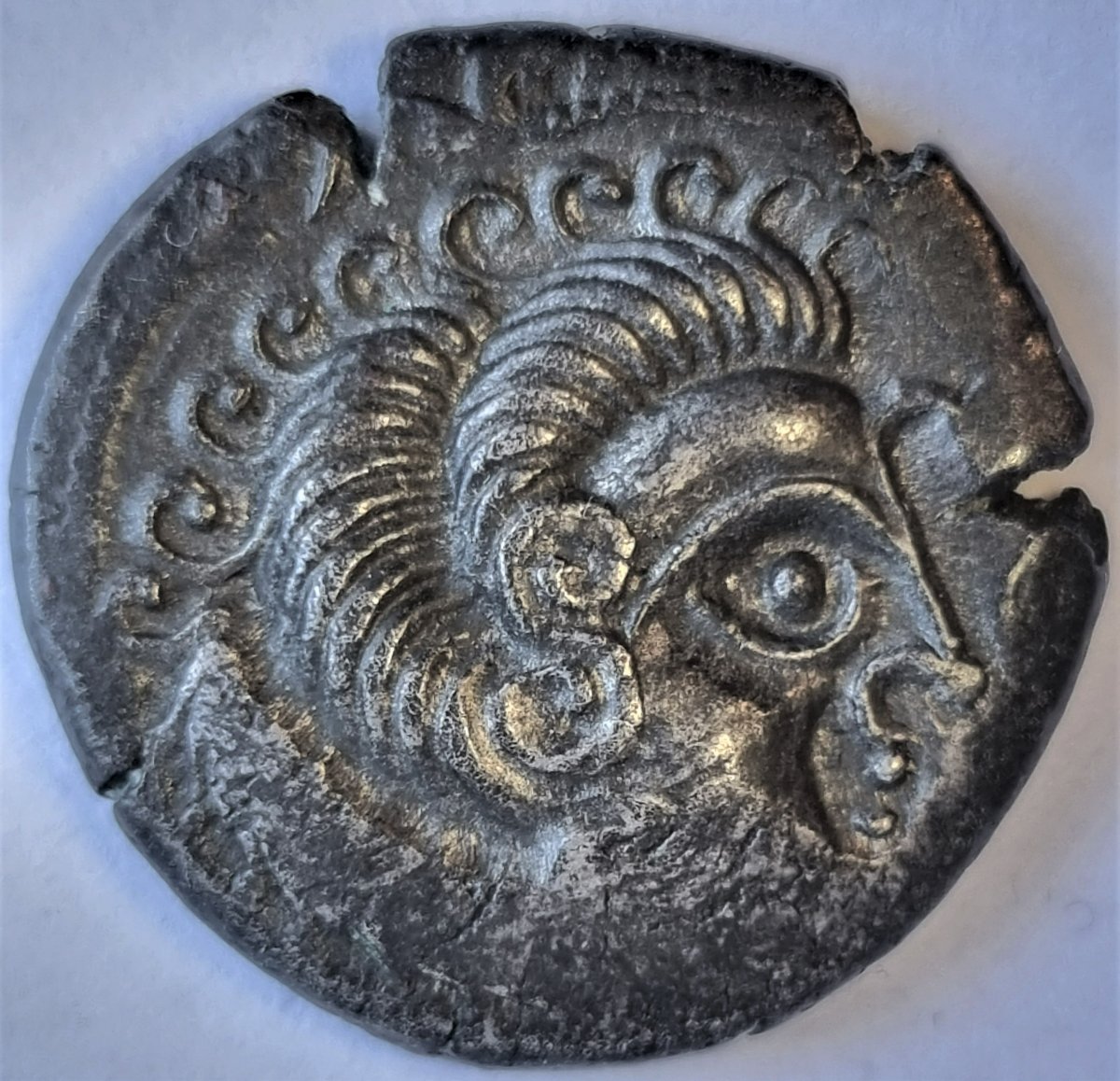 My-First-Animal-On-A-Coin.