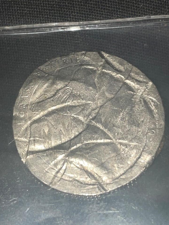 Quarter-Is--Size-Of-1$dollar-Coin-And-Looks-Odd-Found-In-1$coin-Roll,-Any-Idea-If-Mint-Error?-2020