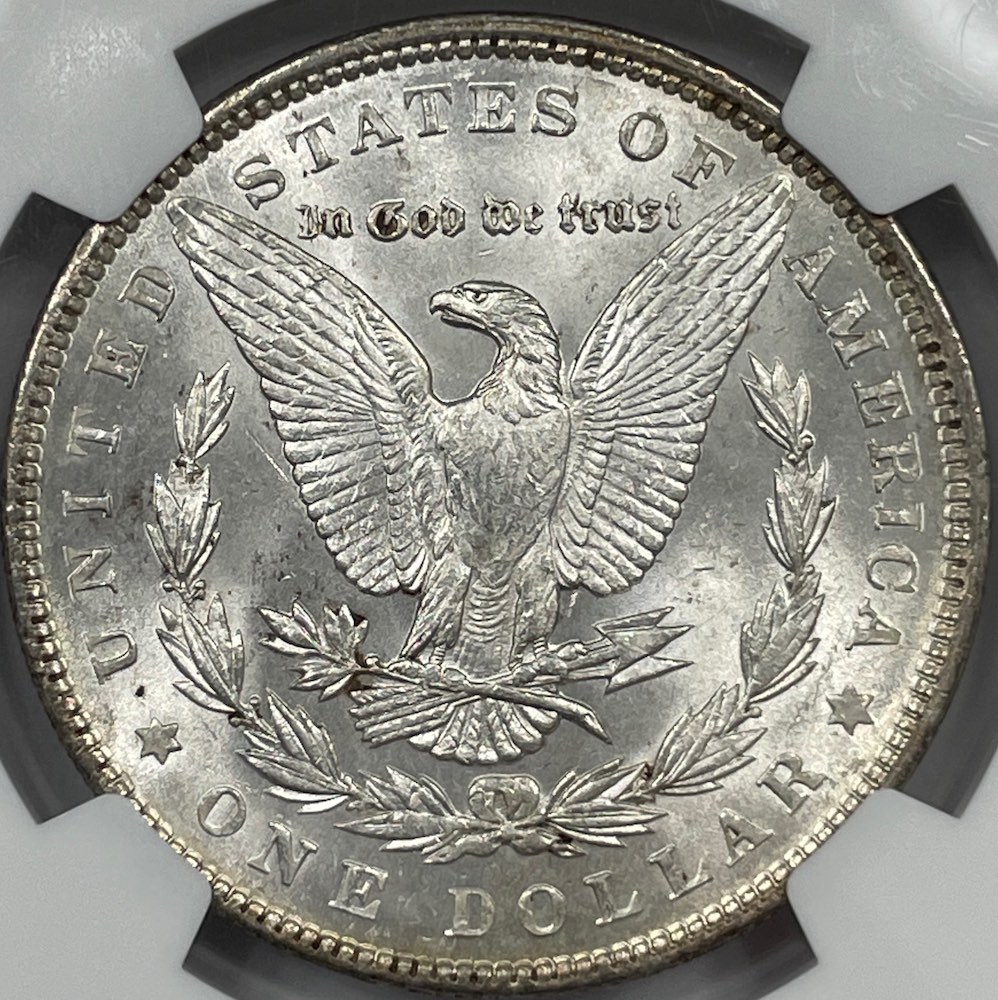 1890-Morgan-Dollar---Toned-Obverse---You-Vs-NGC