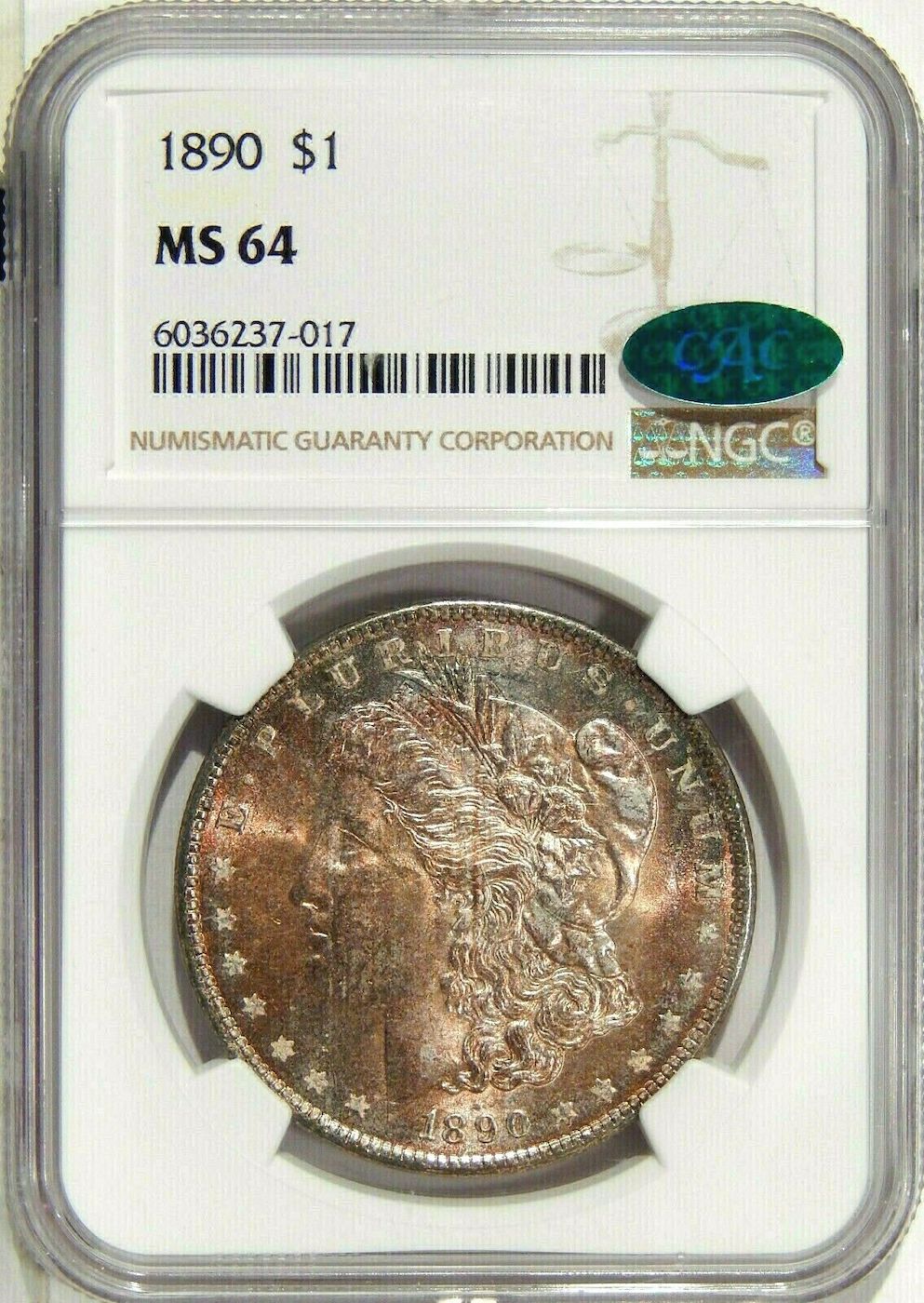 1890-Morgan-Dollar---Toned-Obverse---You-Vs-NGC