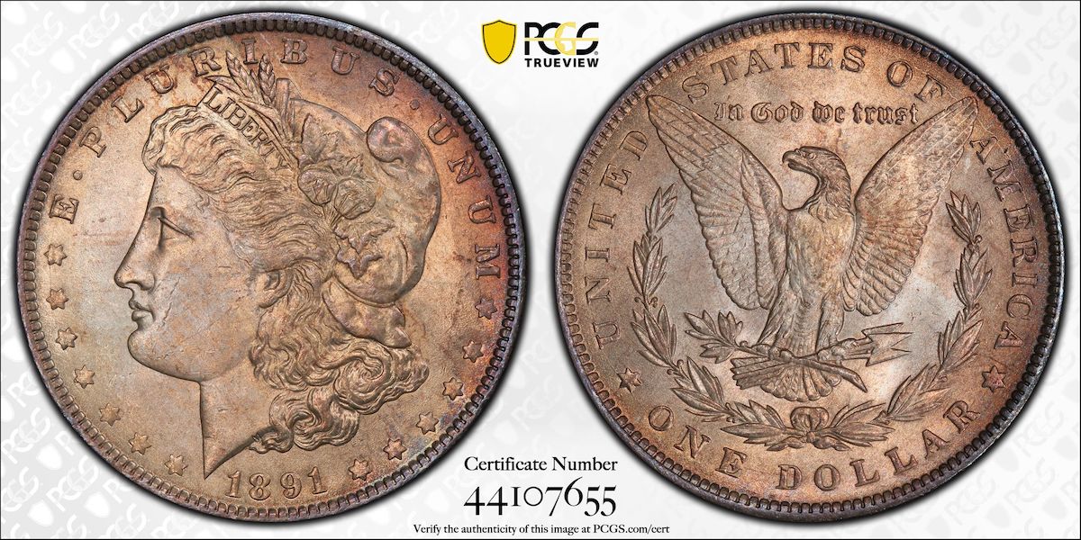What-Do-You-Think-Of-The-Toning-On-This-1891-Morgan?