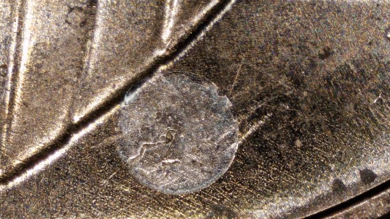 2025-D-Strange-Reverse-Stamp