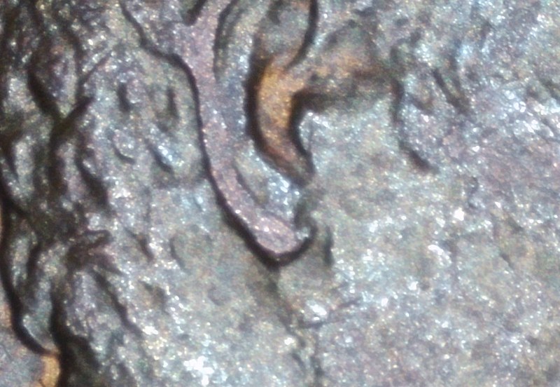 1988-D-Rotated-Mintmark