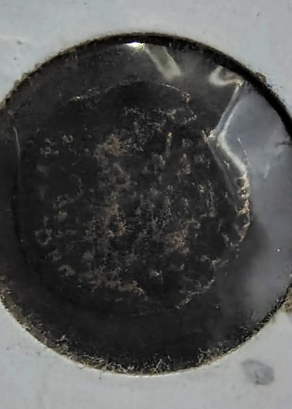Need-Help-Identifying.