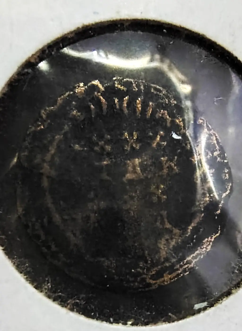 Need-Help-Identifying.