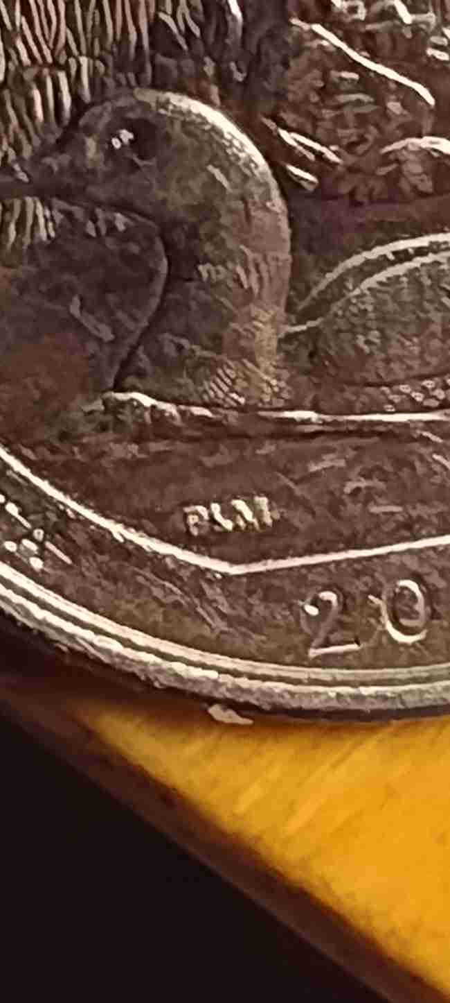 2018-Minnesota-State-Quarter-With-Plm-And-Die-Crack-Under-The-Bird's-Wing
