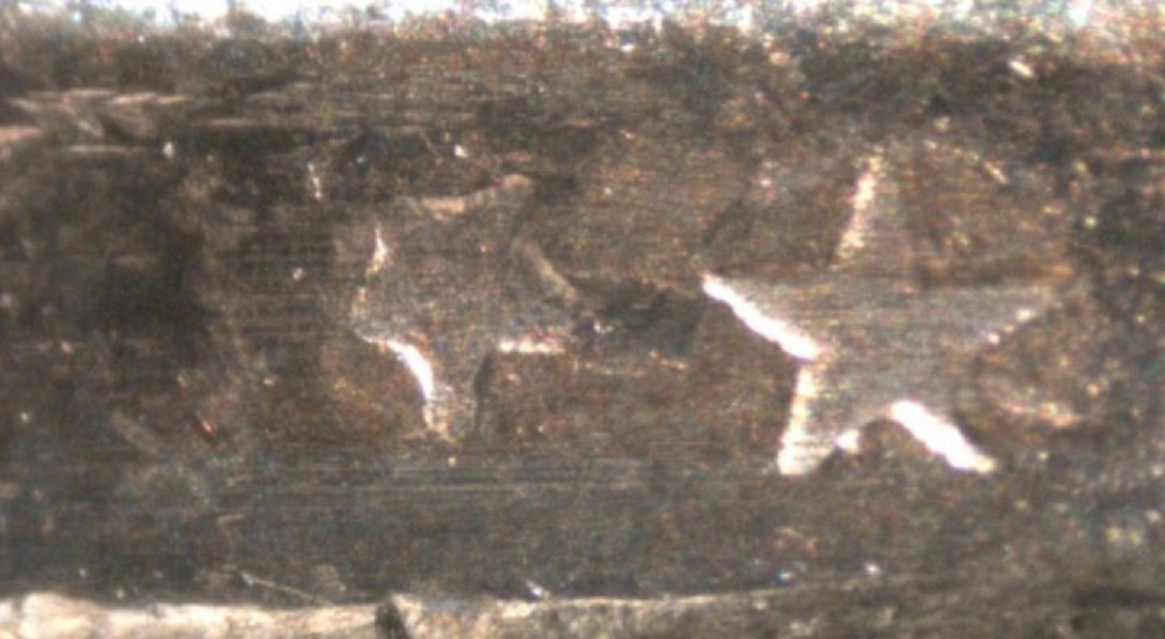 2010-Native-Dollar-Extra-Small-Star