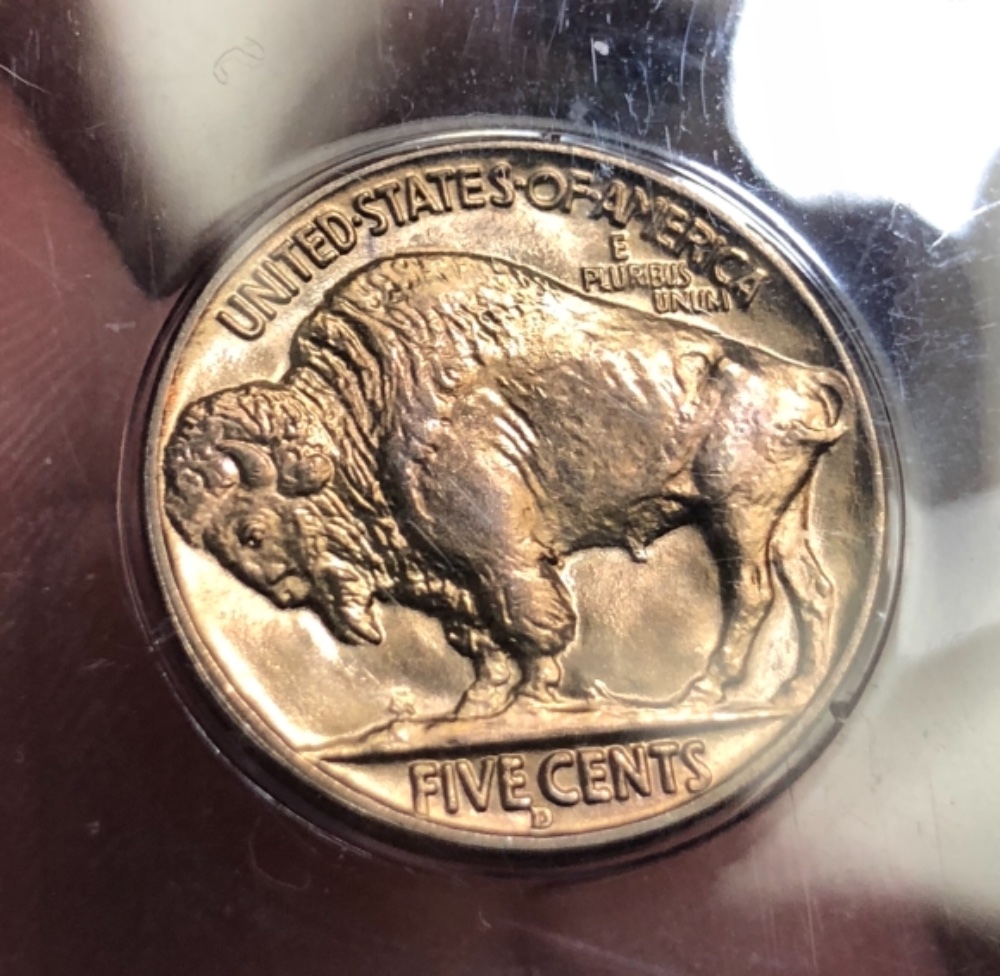 1938-D-Buffalo-Nickel-[you-Vs.-PCGS]