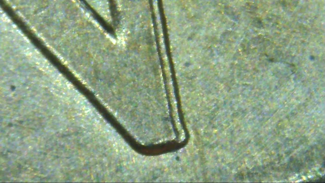 1999-Penny-Machine-Doubling-Or-DD?