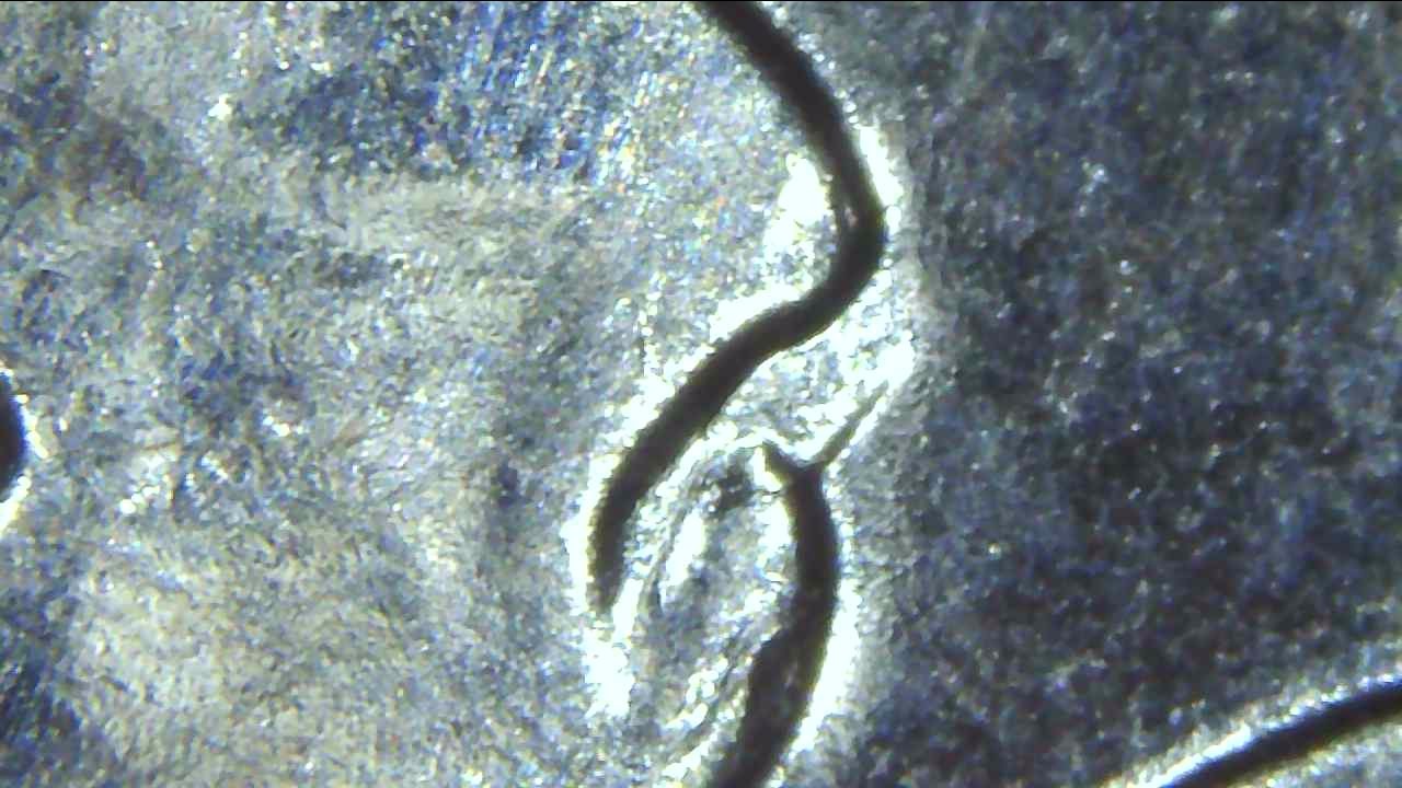 2004-Wisconsin-D-Quarter-DDR