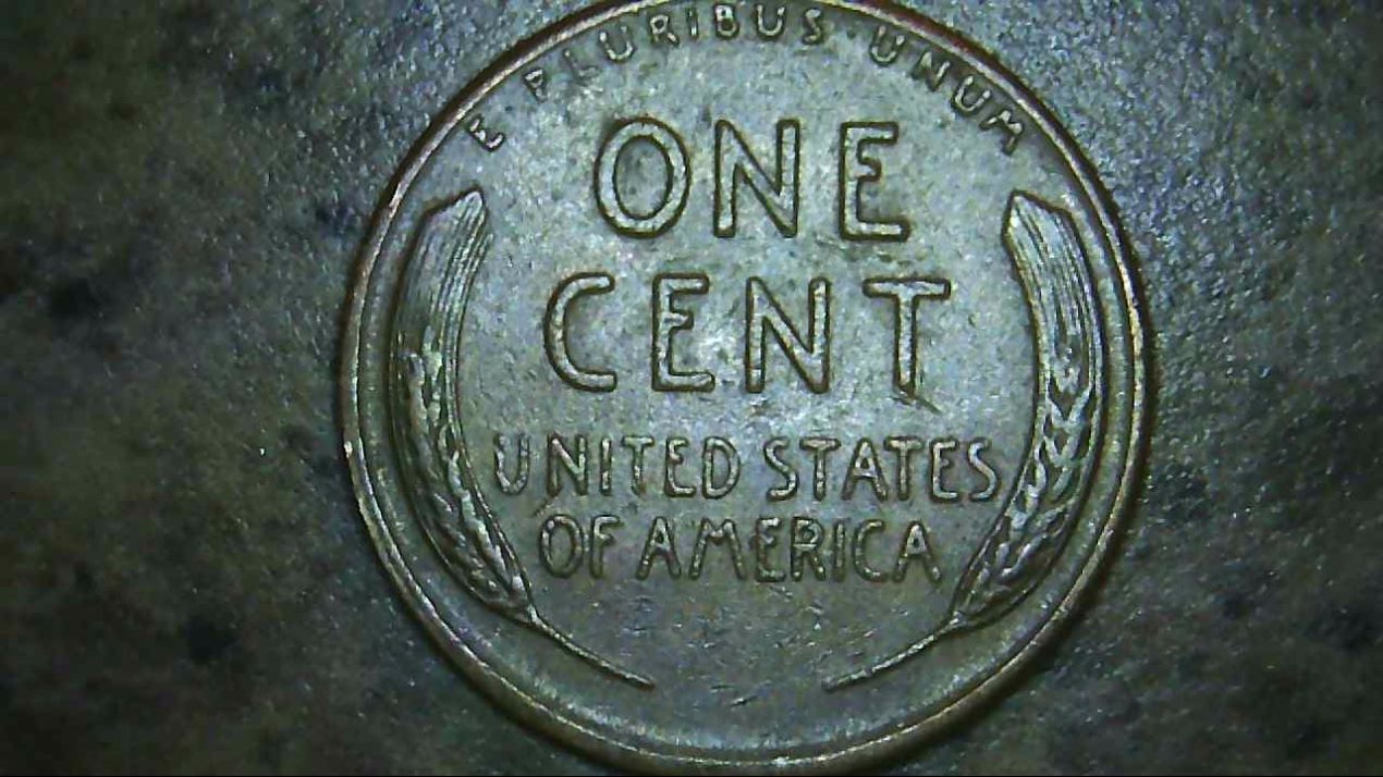 1953-S-LWC-1MM-005-Check-It-Out