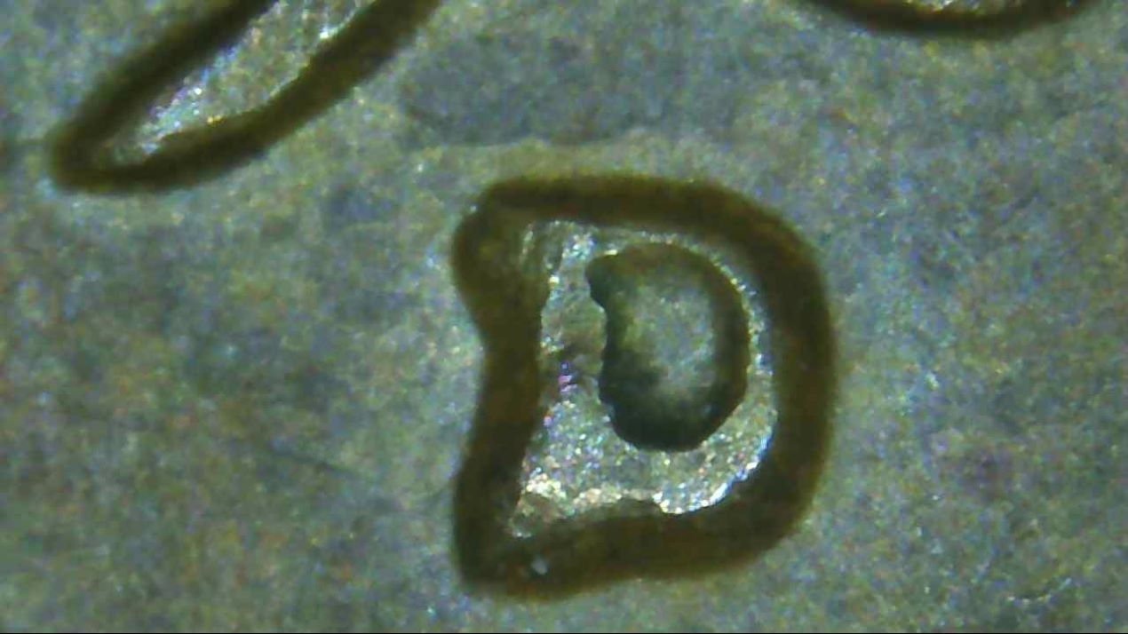 1961-D-LMC-1MM-081-Check-It-Out