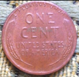 Are-These-Coins-Real-Or-Fake-?