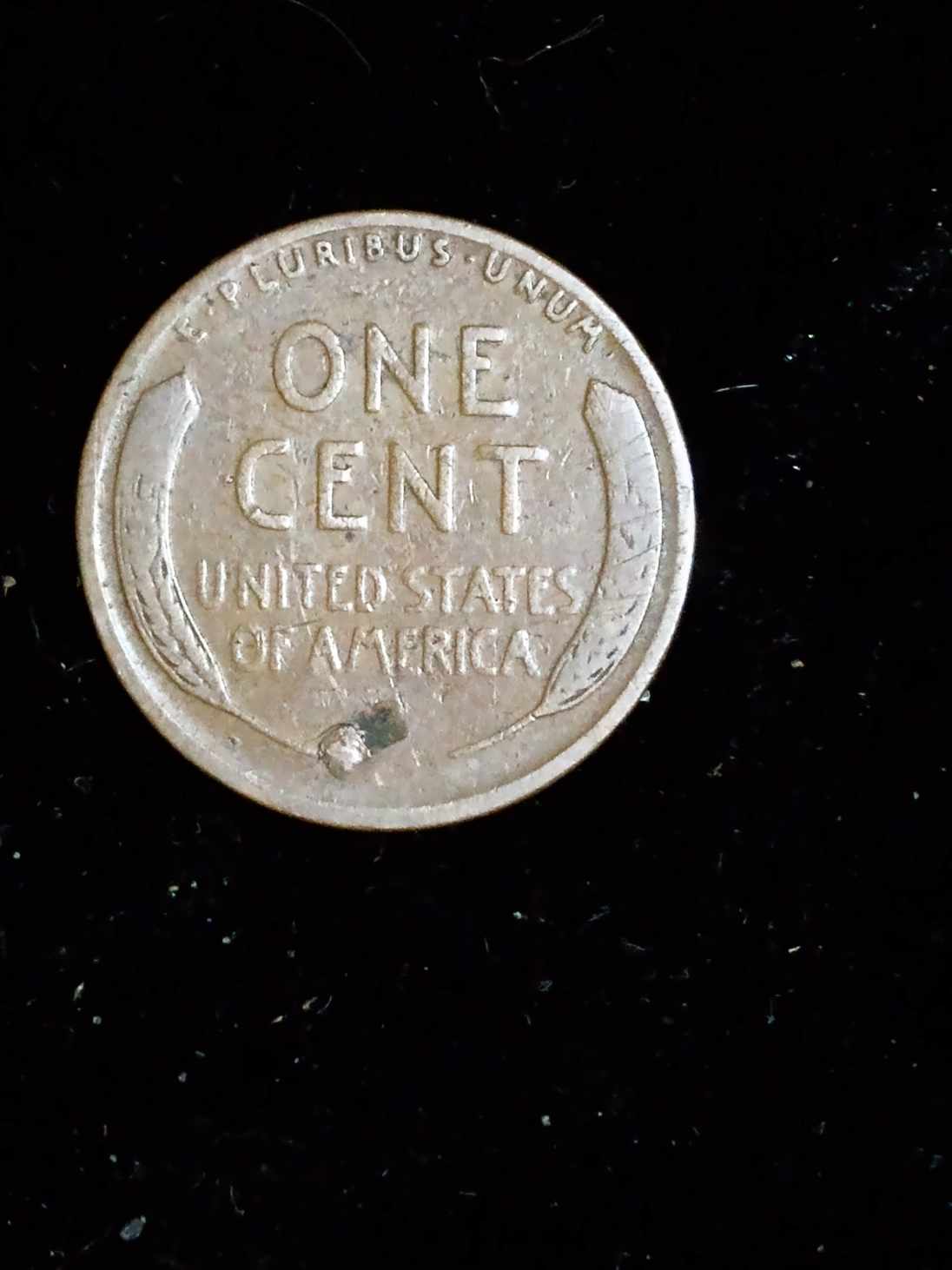 I-Shall-Call-Him-Chip!-1930-Wheat-Back-Cent