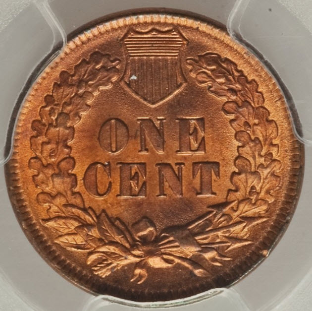 1893-Indian-Head-Cent-You-Vs.-PCGS