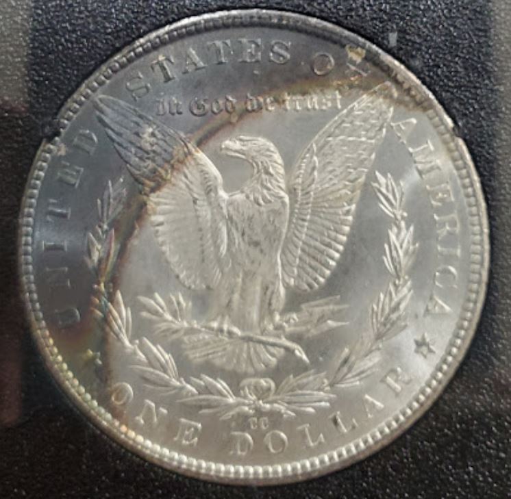 1884-CC-Morgan-For-Grading.-GSA.-One-Of-My-Favorites.