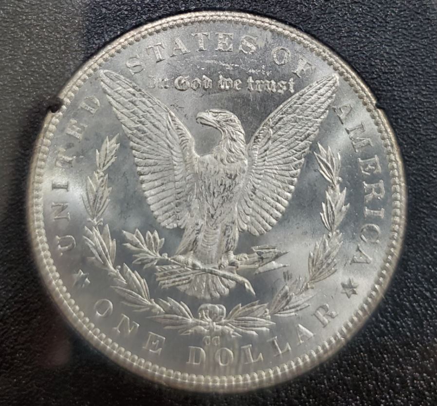 1882-CC-Morgan-GSA-Holder-For-Grading