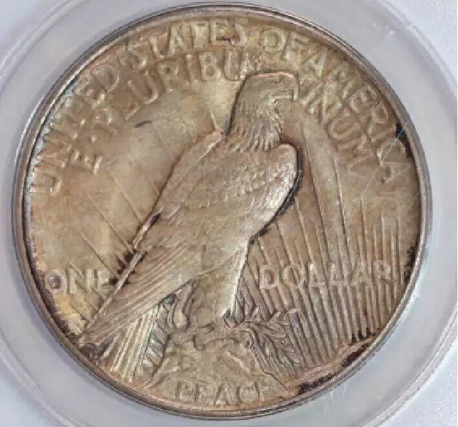 1921-Peace-Dollar,-ANACS-Holder