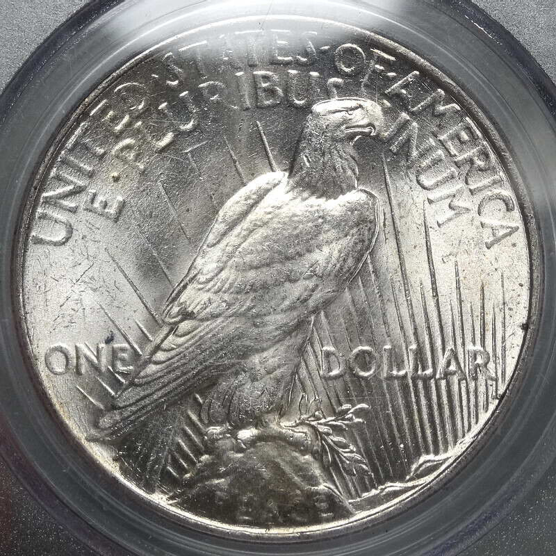 Latest-Edition-To-My-Date-Set-Of-Peace-Dollars