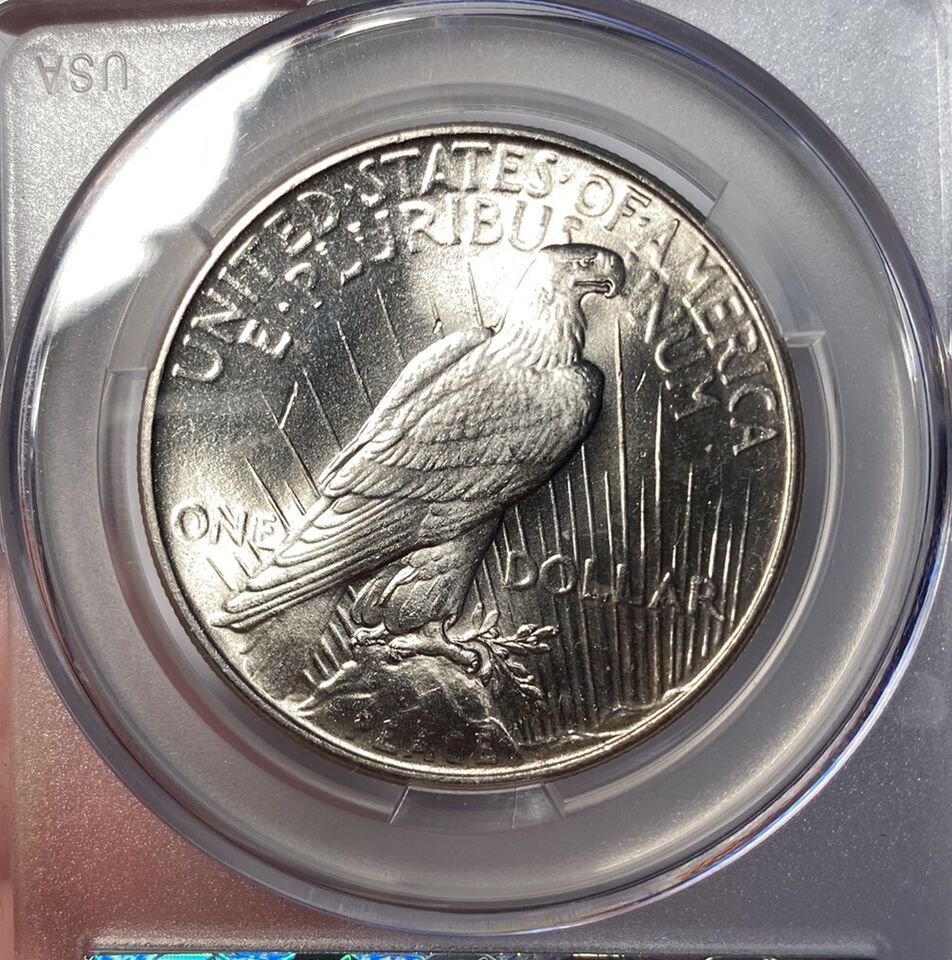 Latest-Edition-To-My-Date-Set-Of-Peace-Dollars