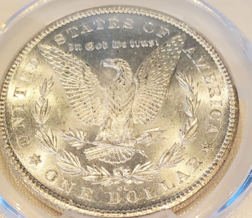 Today's-Acquisition---1878-CC-Morgan
