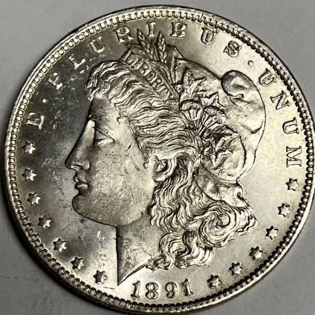 1891-Morgan-Dollar-For-Grading