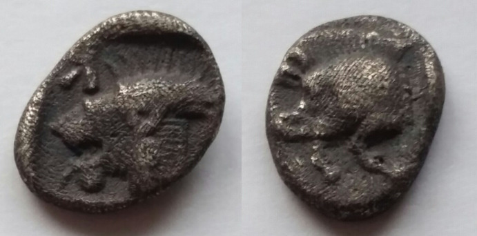 Post-Your-Lion-Coins!