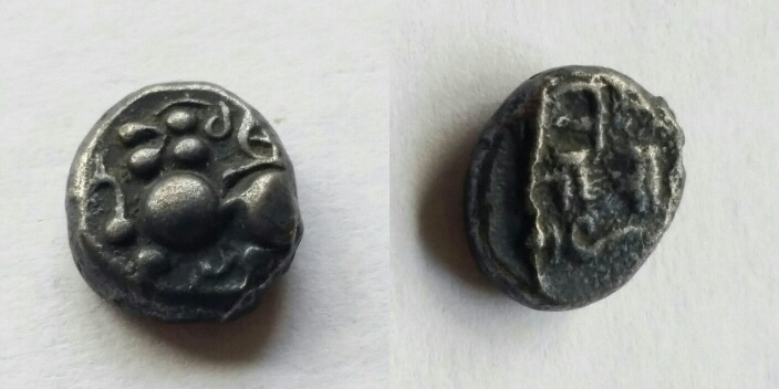 Post-Your-Lion-Coins!