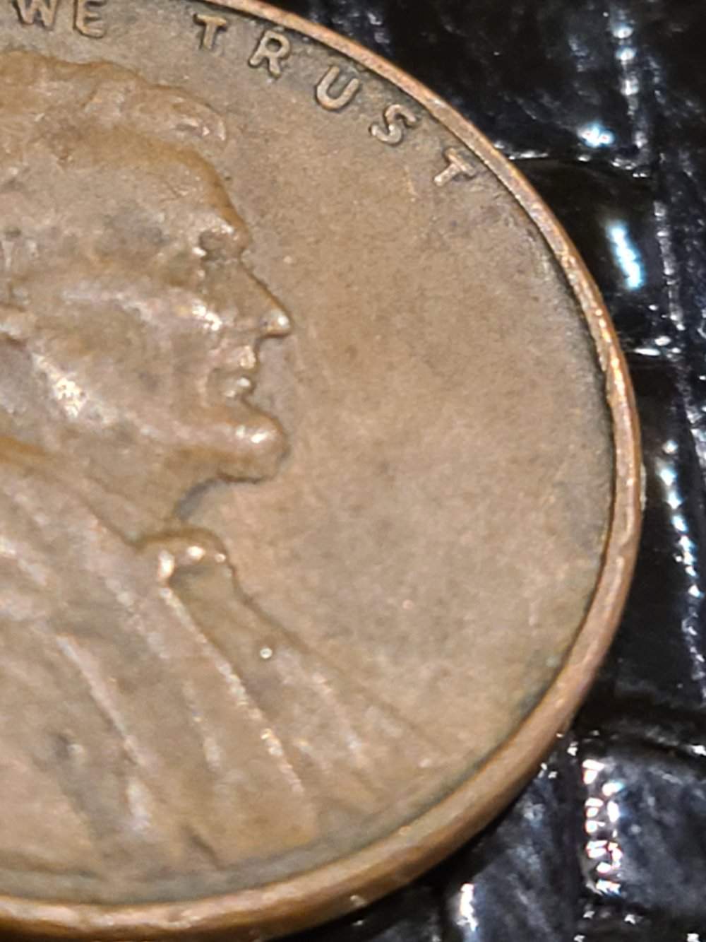 No-Date-Wheat-Penny-Found-In-Bag