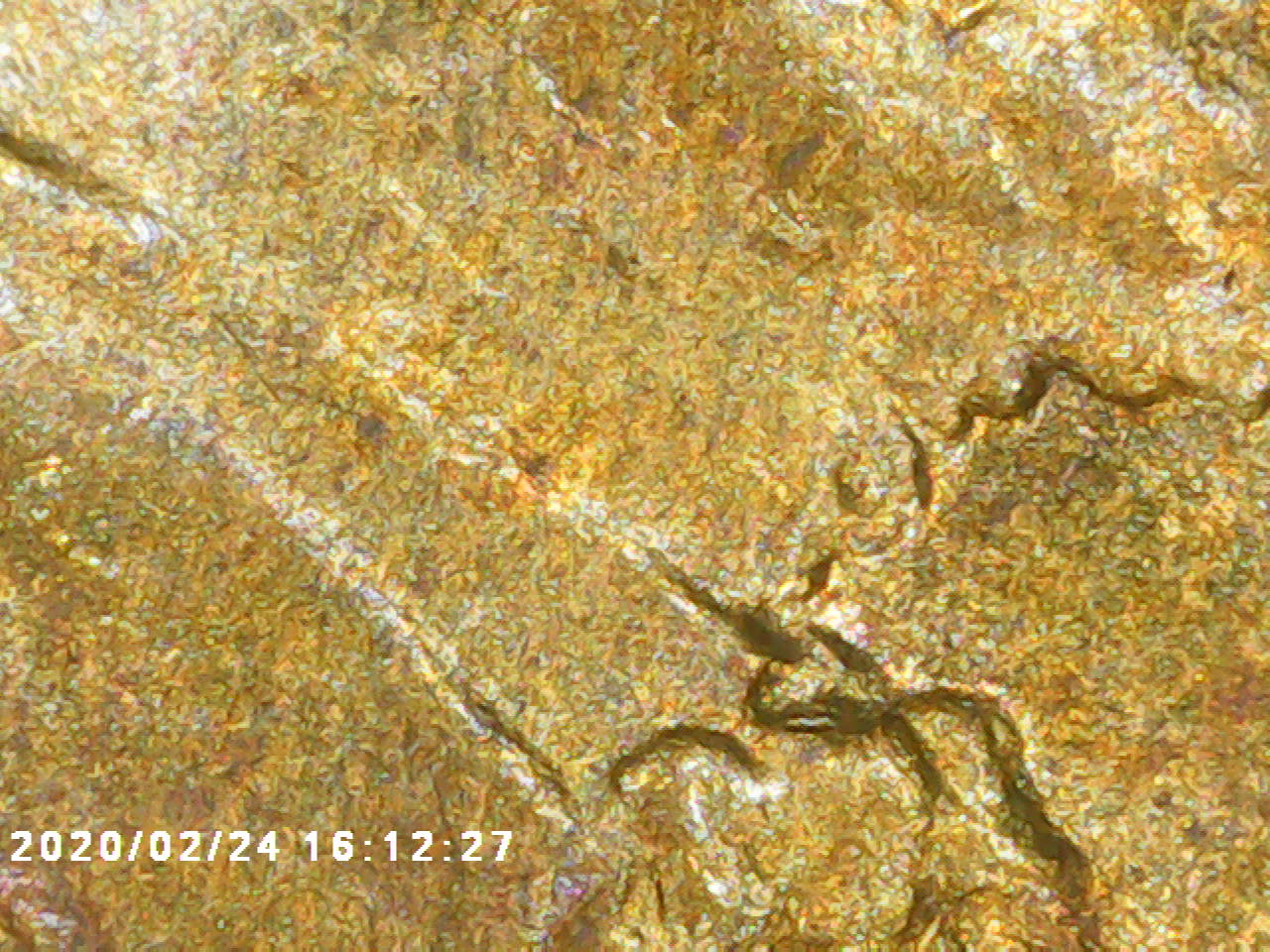 Graded-09VDB-DDO?-Thanks-In-Advance