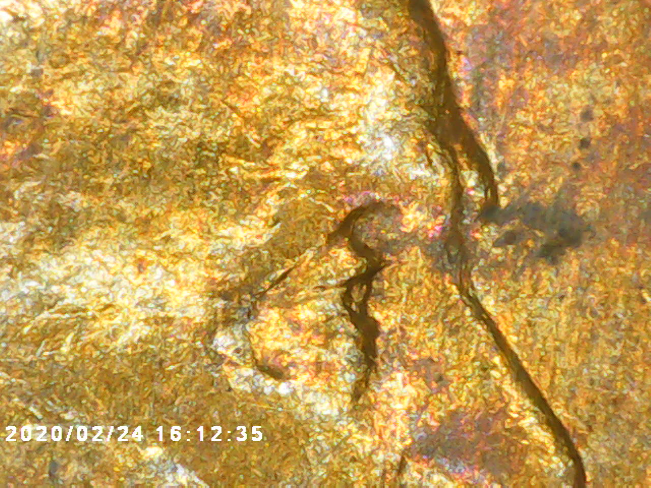 Graded-09VDB-DDO?-Thanks-In-Advance