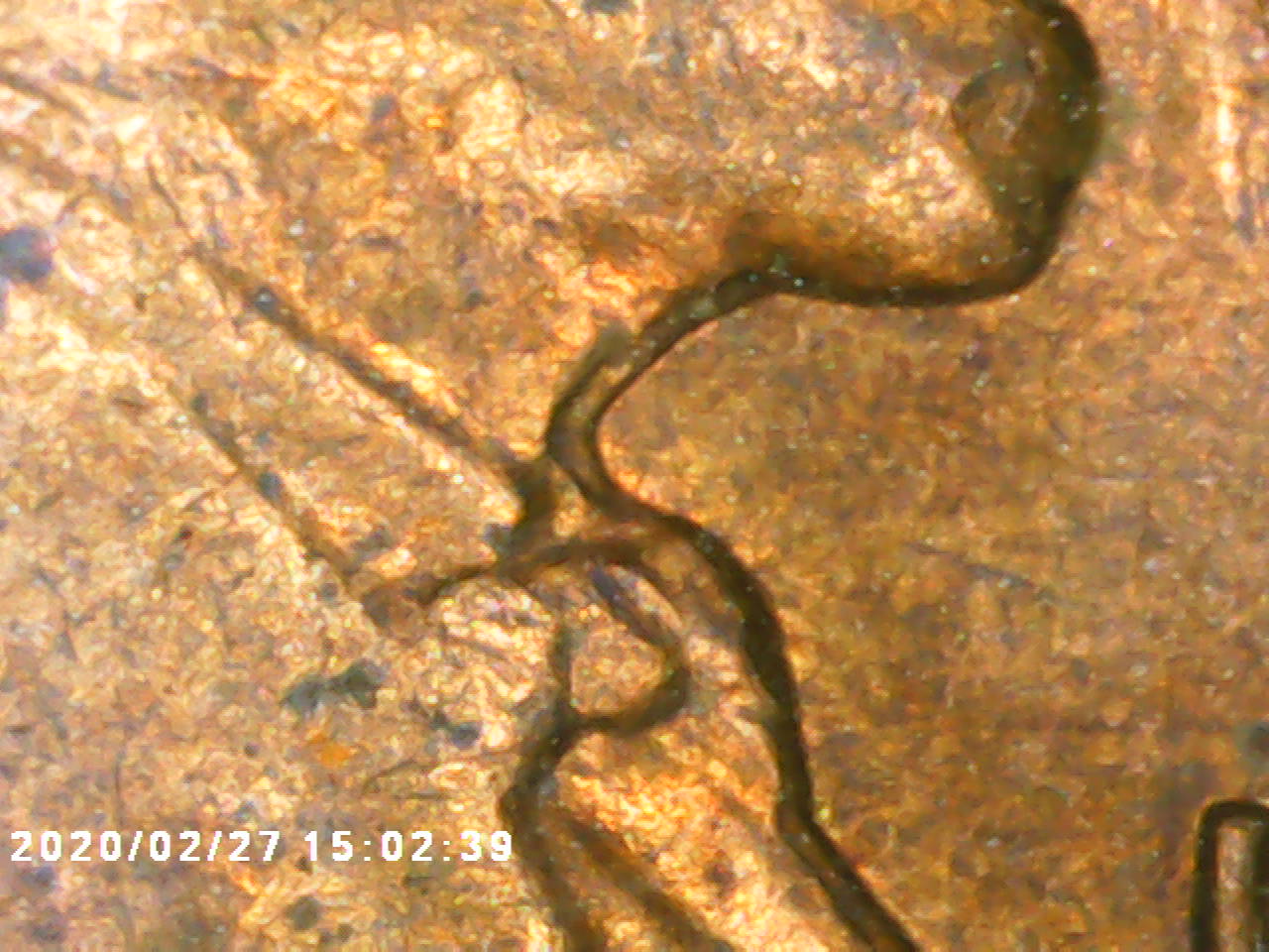 1964-D-Lincoln-Neck-And-Column-Error?