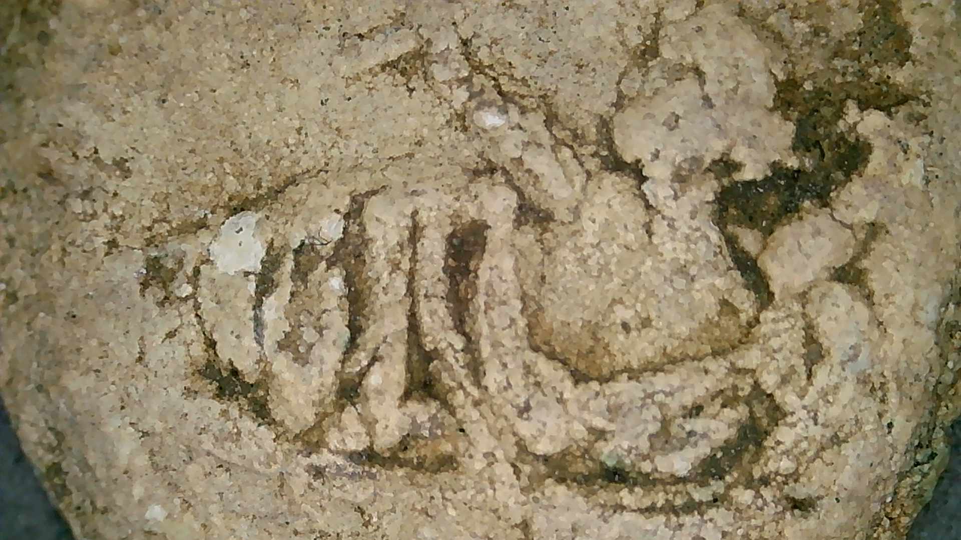 Roman-Lead-Brothel-Token,