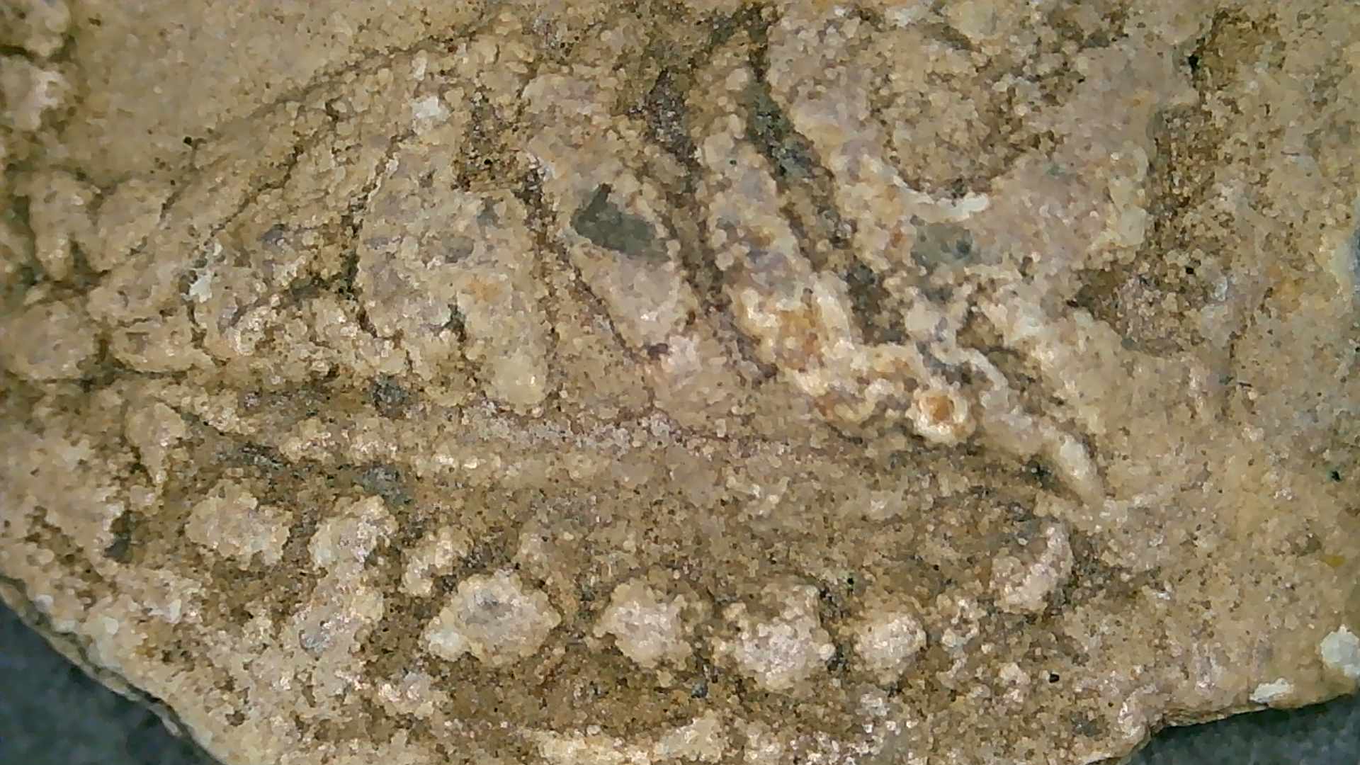 Roman-Lead-Brothel-Token,