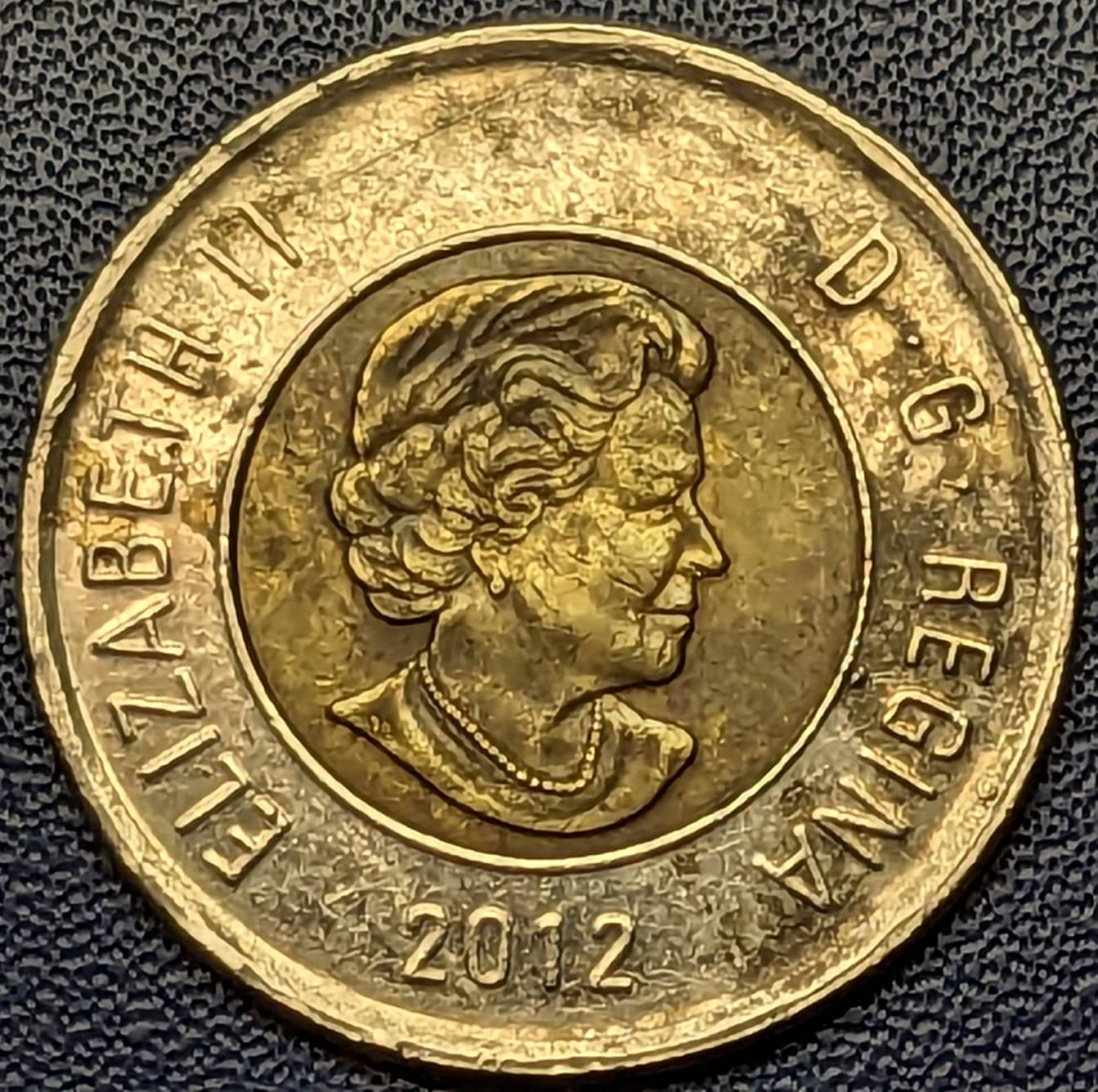 2012-Toonie---Error-Or-PMD