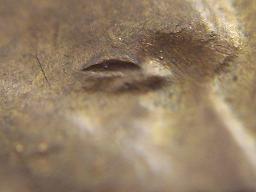 1958-Lincoln-Cent,-Dbl-Eye-Or-Gouge?