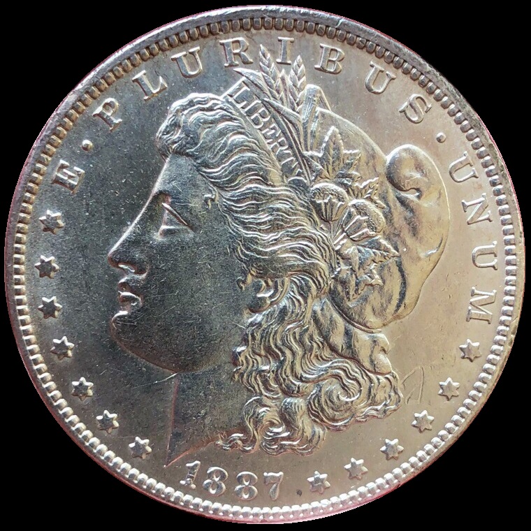 1899-Dollar---Is-This-A-Deal?