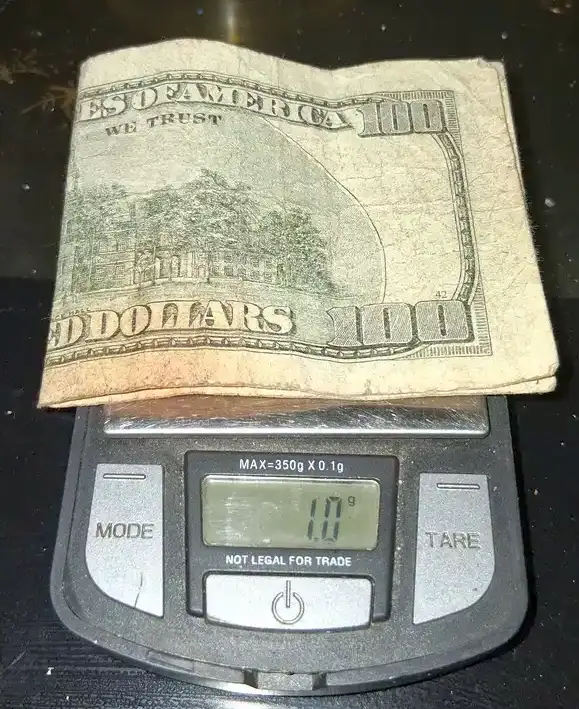Double-Backed-One-Hundred-Dollar-Bill
