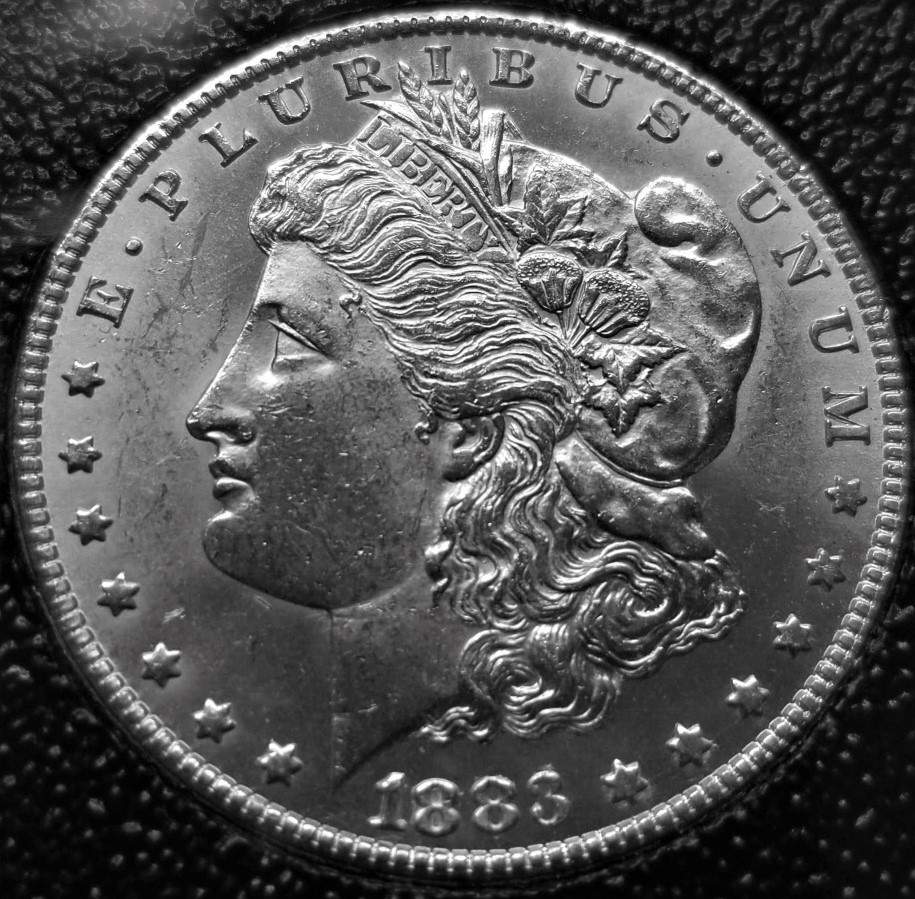 Grade-1883-CC-Morgan