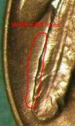 Is-This-1921-Buffalo-Uncirculated?