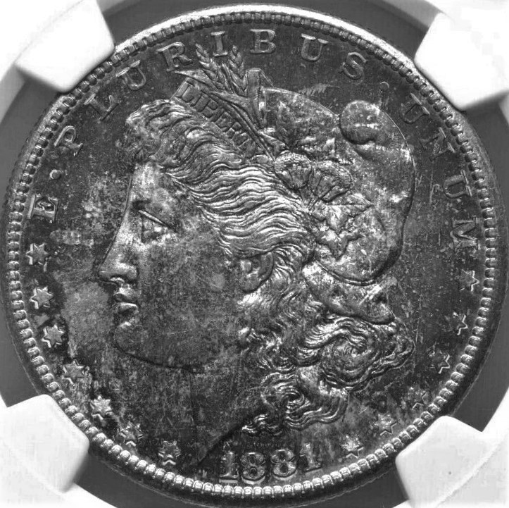 1881---S-Morgan-Dollar,-You-Vs-NGC