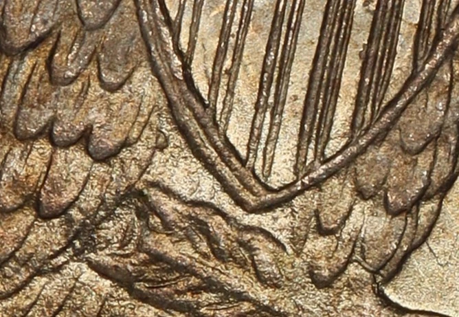Need-Help-Confirming-Grade-1882-Seated-Liberty-Quarter