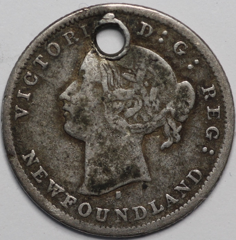 My-White-Whale-Coin.