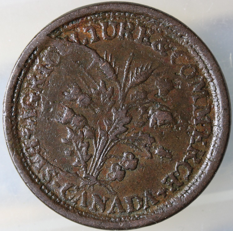 T.-Duseaman-Butcher-Belleville-Mule-Token