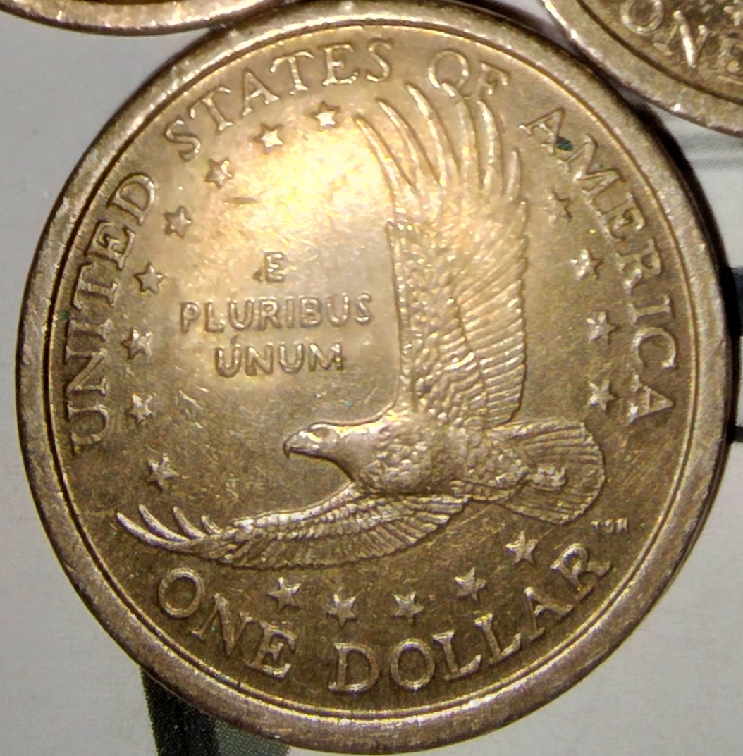 Got-5-2000-P-&-D-Sacagawea-Dollars-Looking-For-Info
