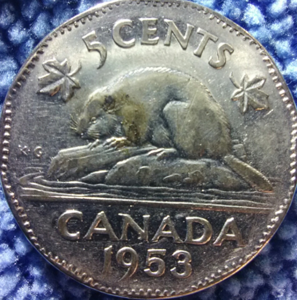 Are-These-53-NSF-Worth-Grading?