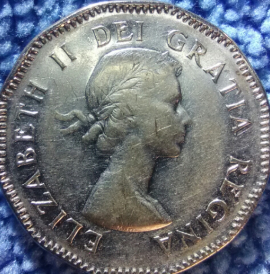 Are-These-53-NSF-Worth-Grading?