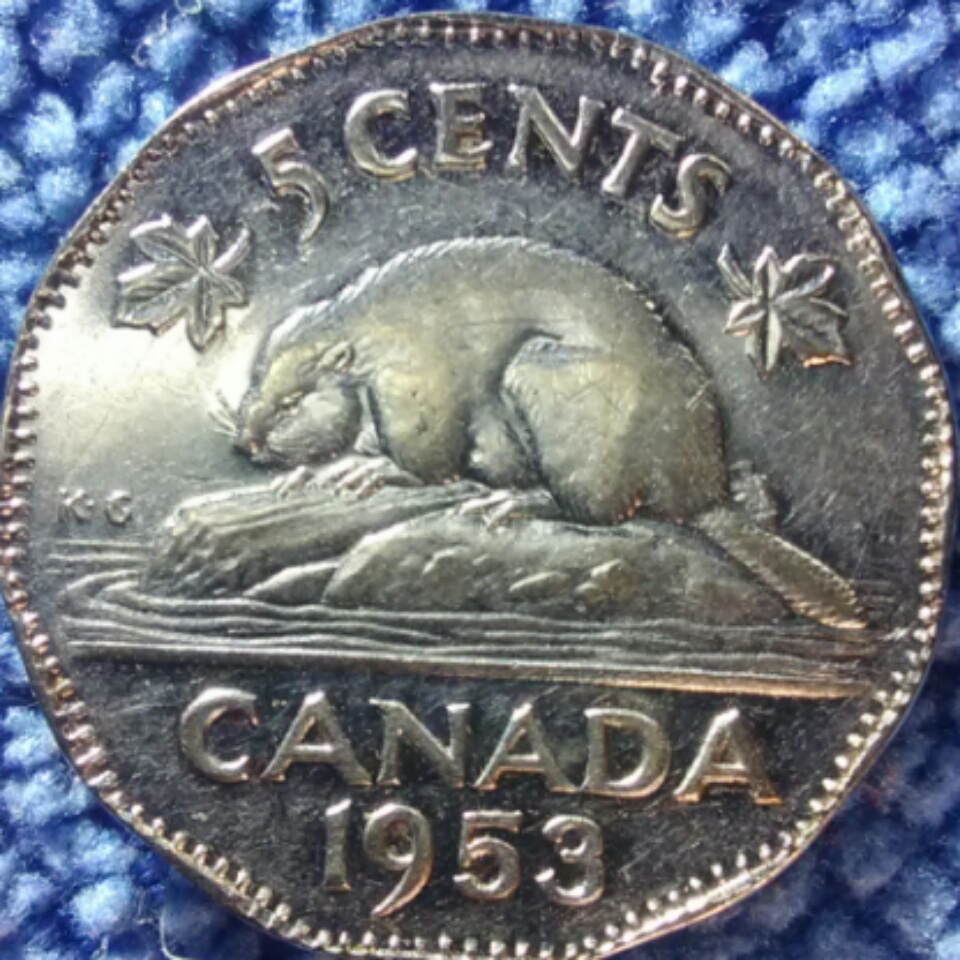 Are-These-53-NSF-Worth-Grading?