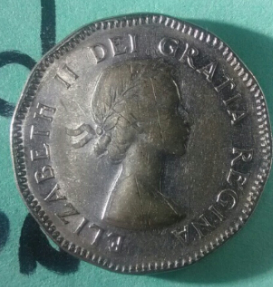 Are-These-53-NSF-Worth-Grading?